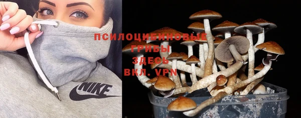 MDMA Вяземский