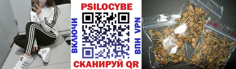 Галлюциногенные грибы ЛСД  Пенза 